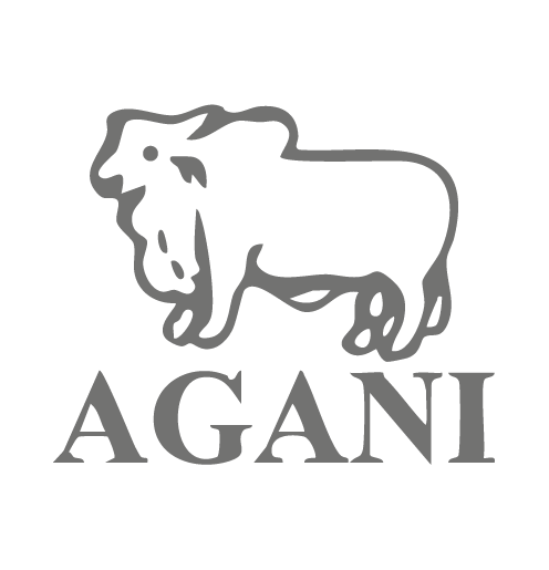 New Brand